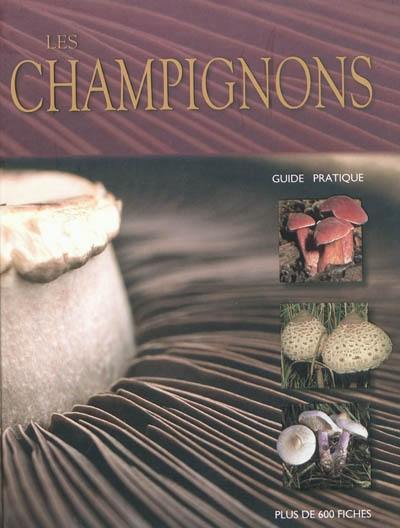 Les champignons : guide pratique