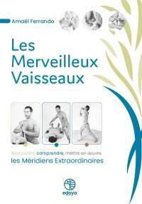 Les merveilleux vaisseaux : rencontrer, comprendre, mettre en oeuvre les méridiens extraordinaires