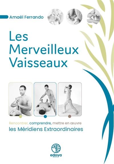 Les merveilleux vaisseaux : rencontrer, comprendre, mettre en oeuvre les méridiens extraordinaires