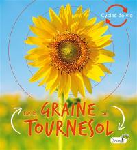 De la graine au tournesol