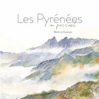 Les Pyrénées en passant