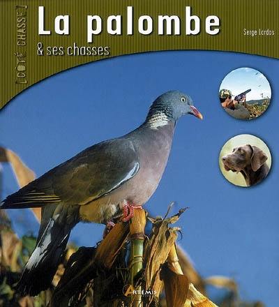 La palombe et ses chasses