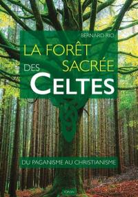 La forêt sacrée des Celtes : du paganisme au christianisme