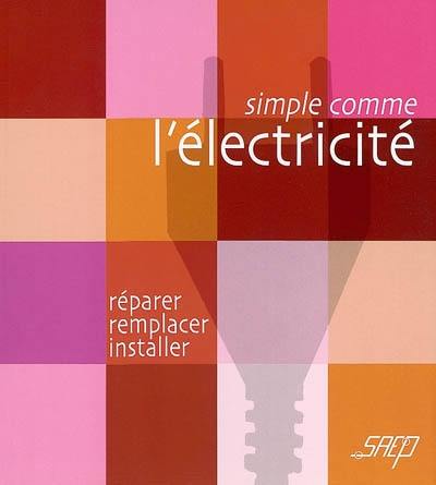 L'électricité : réparer, remplacer, installer