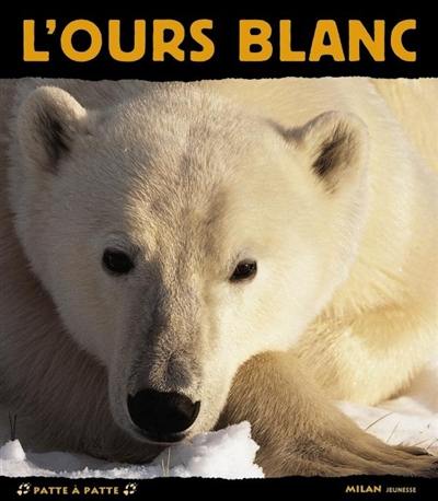 L'ours blanc