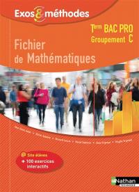 Fichier de mathématiques, terminale bac pro : groupement C