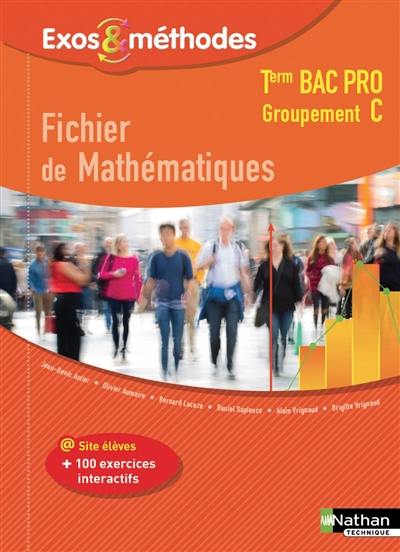 Fichier de mathématiques, terminale bac pro : groupement C