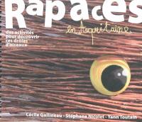 Rapaces en Aquitaine : des activités pour découvrir ces drôles d'oiseaux