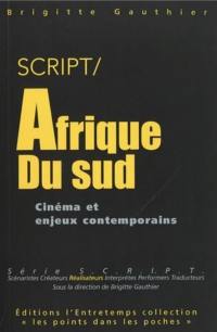 Afrique du Sud : cinéma et enjeux contemporains