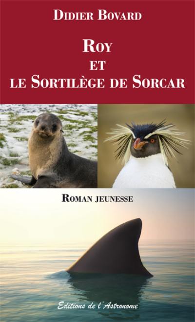 Roy et le sortilège de Sorcar : roman jeunesse