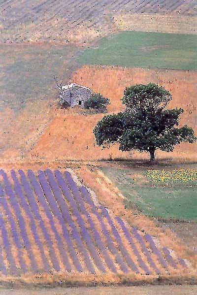 Provence