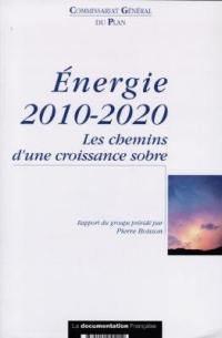 Energie 2010-2020 : les chemins d'une croissance sobre : rapport du groupe plénier