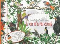 L'on m'a rat conté : dans la forêt de Bois de couleurs : et son guide pour naturalistes en herbe