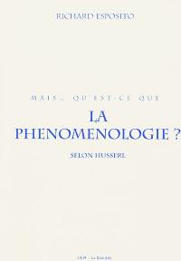 Mais qu'est-ce que la phénoménologie ? selon Husserl