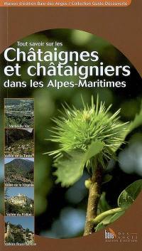 Tout savoir sur les châtaignes et châtaigniers dans les Alpes-Maritimes, les Alpes-de-Haute-Provence et la Corse