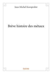 Brève histoire des métaux