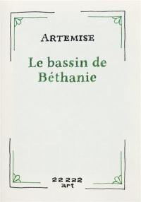 Le bassin de Béthanie