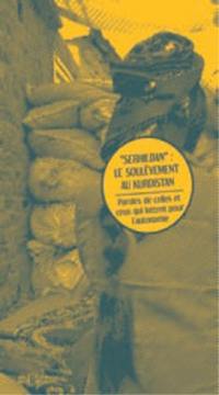 Serhildan, le soulèvement au Kurdistan : paroles de celles et ceux qui luttent pour l'autonomie