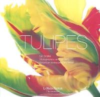 Tulipes