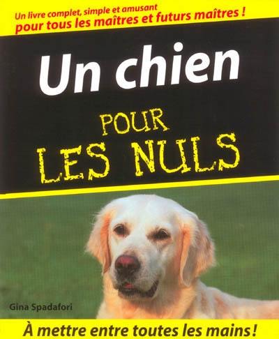 Un chien pour les nuls