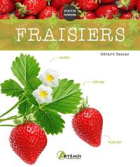 Fraisiers