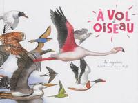 A vol d'oiseau : les migrations