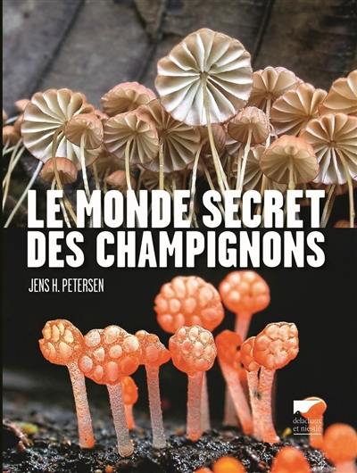 Le monde secret des champignons