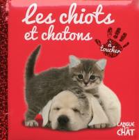 Les chiots et chatons : à toucher