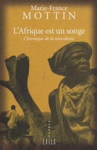 L'Afrique est un songe : chroniques de la néocolonie