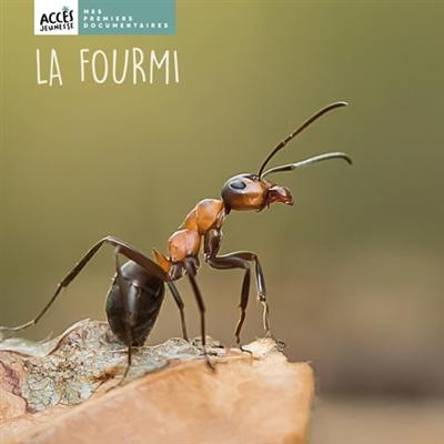 La fourmi