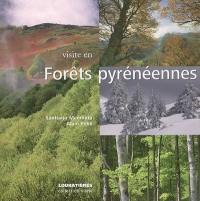 Visite en forêts pyrénéennes