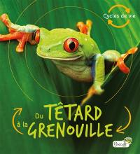 Du têtard à la grenouille