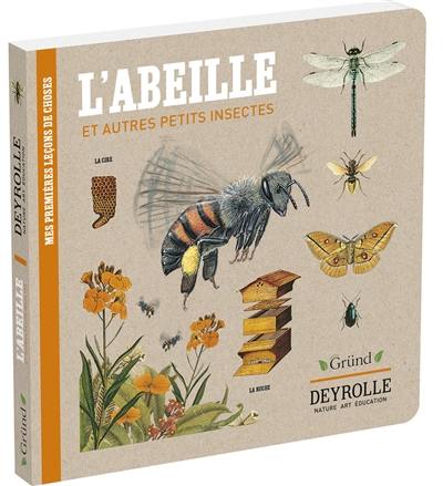 Mes premières leçons de choses. L'abeille : et autres petits insectes