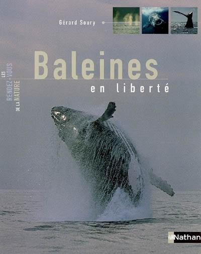 Baleines en liberté