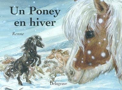 Un poney en hiver