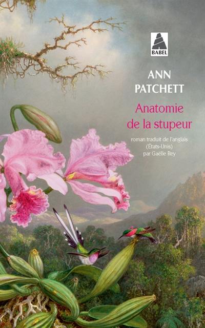 Anatomie de la stupeur