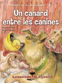 Un canard entre les canines 1