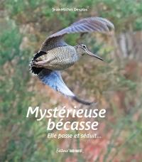 Mystérieuse bécasse : elle passe et séduit