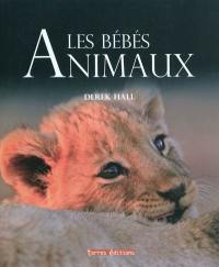 Les bébés animaux