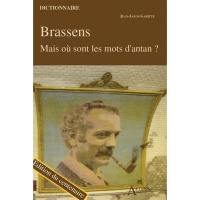 Brassens : mais où sont les mots d'antan ?