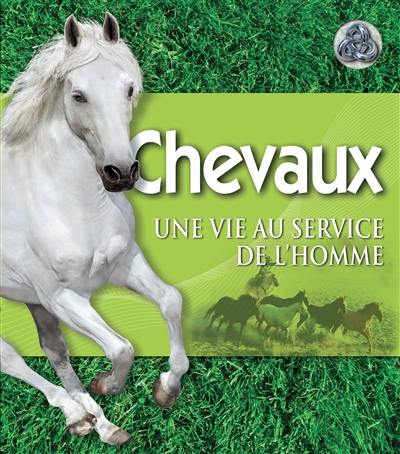 Chevaux : une vie au service de l'homme