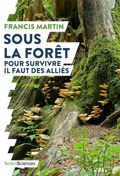 Sous la forêt : pour survivre il faut des alliés