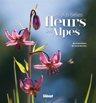 Les plus belles fleurs des Alpes