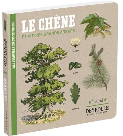 Mes premières leçons de choses. Le chêne : et autres grands arbres