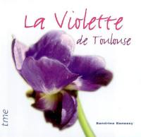 La violette de Toulouse