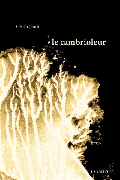 Le cambrioleur