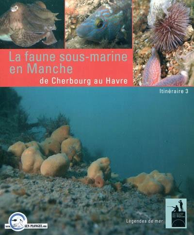 La faune sous-marine en Manche : de Cherbourg au Havre