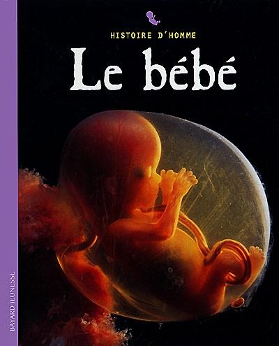 Le bébé : histoire d'homme