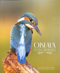 Oiseaux (extra)ordinaires