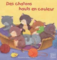 Des chatons hauts en couleur